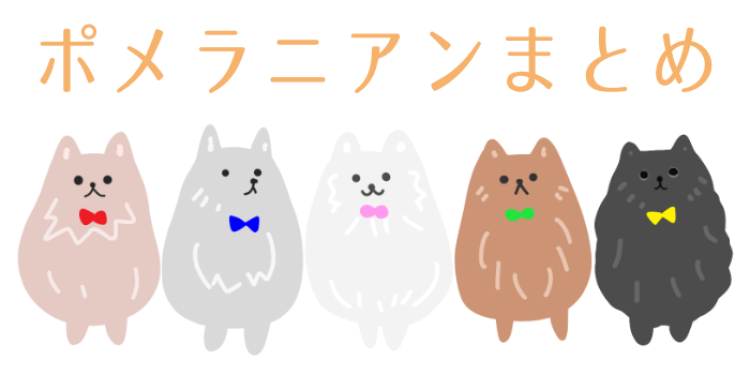いつも笑ってるみたいなポメラニアン！